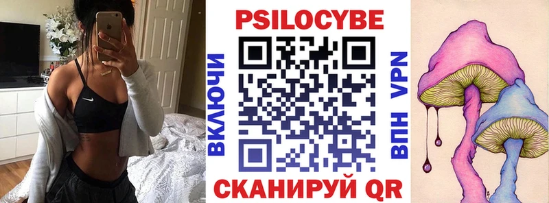 закладка  Верещагино  Галлюциногенные грибы Cubensis 